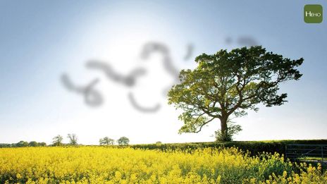 雷射「殺」飛蚊症安全嗎？長庚視網膜科主任黃奕修：看時機